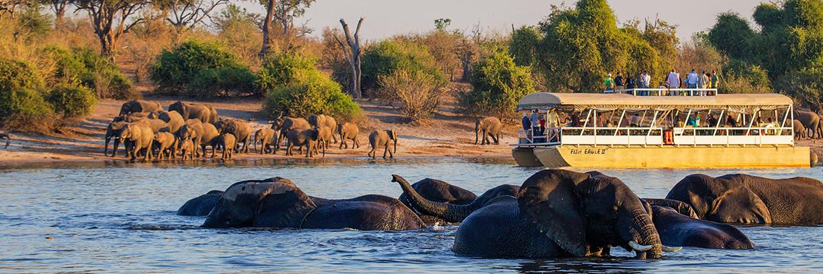 Explore the Wilderness of Southern Africa